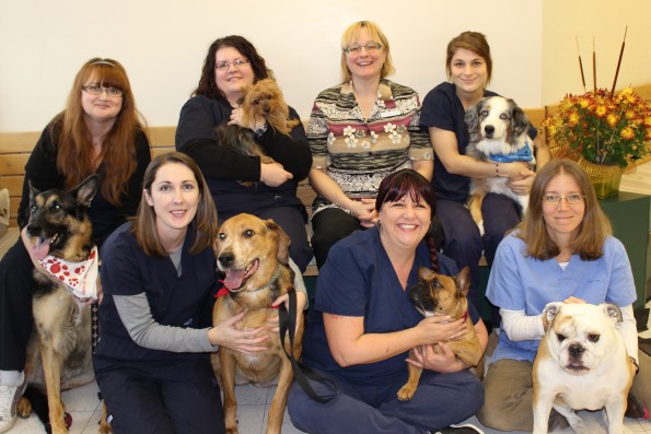 Thickson staff with their dogs