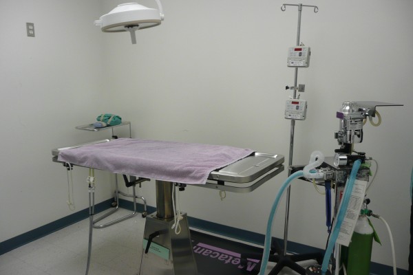 The surgery suite.