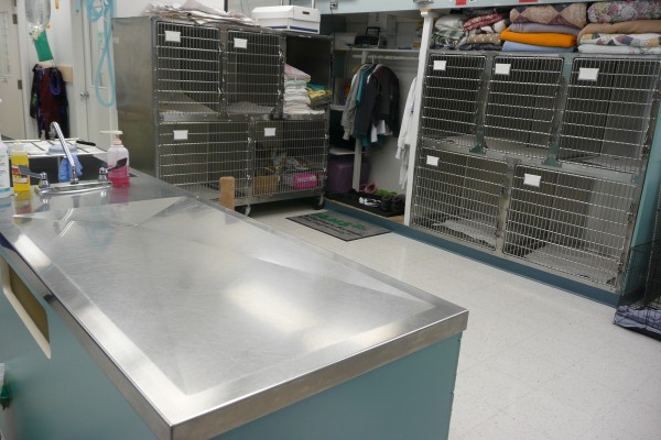 Another view of the treatment area, including a few patient cages.