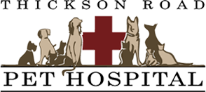 Thickson Road Pet Hospital